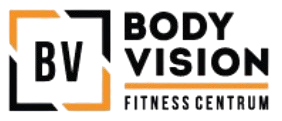 BodyVision Logo