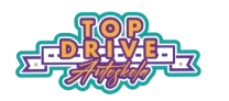 TopDrive Logo